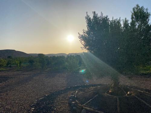 Dar Imane - Magnifique ferme en pleine nature, Ouarzazate (foto 10)