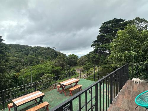 Monteverde Monkey Hostel in Монтеверде