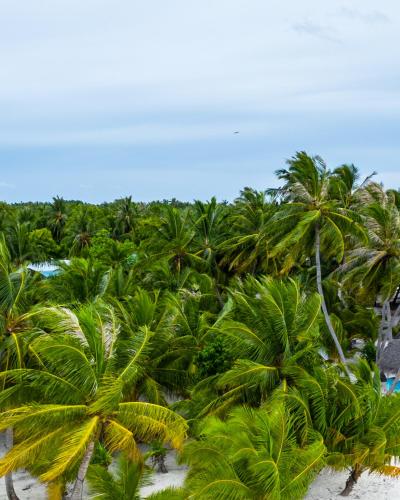 A környék, Moro SW Laamu in Laamu Atoll