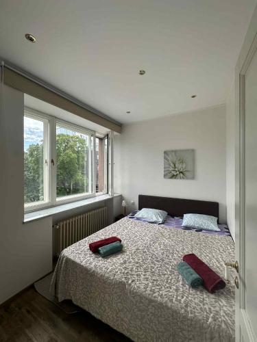 City Center Bright Studio for 3 people, Tallinn (photo 2)