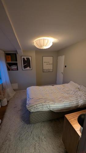 Penthouse I Oslo sentrum med balkong og utsikt - Ingen rengjøringsgeby, Oslo (foto 6)