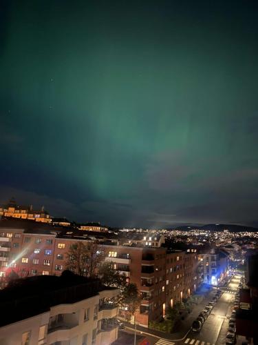 Penthouse I Oslo sentrum med balkong og utsikt - Ingen rengjøringsgeby, Oslo (foto 7)