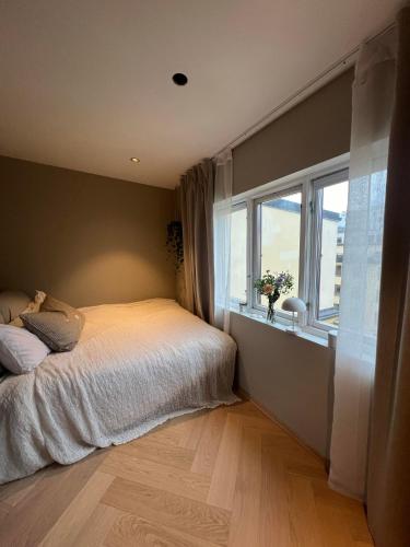 Penthouse I Oslo sentrum med balkong og utsikt - Ingen rengjøringsgeby, Oslo (foto 8)