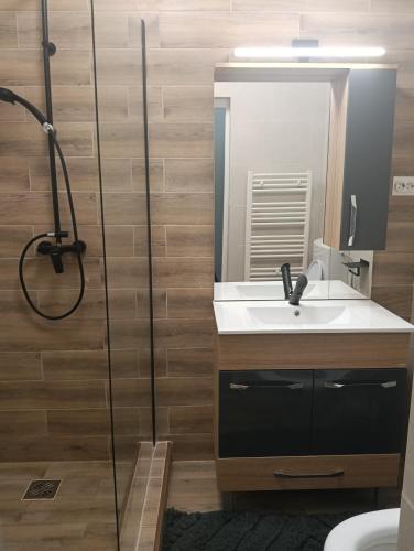 Spital 1 cameră studio