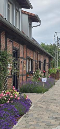 Exterior view, Ferienwohnungen Beveraue in Ostbevern