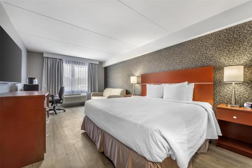 King Room with Sofabed - Non-Smoking