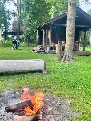 Medže dirbtuve (Medze dirbtuve) in Gataučiai