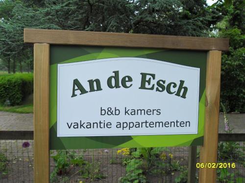 An de Esch - image 3