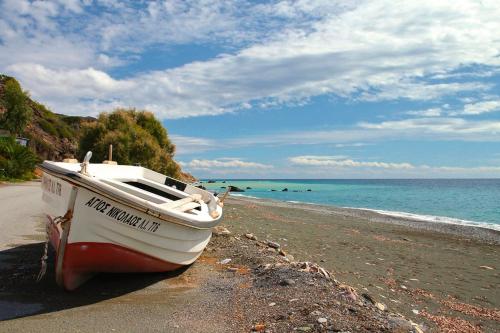 Polivios Apartment in Viannos
