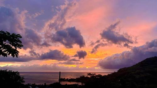 ทัศนียภาพ, MOOREA - Te OaOa Home Sea View in ไวอาแน