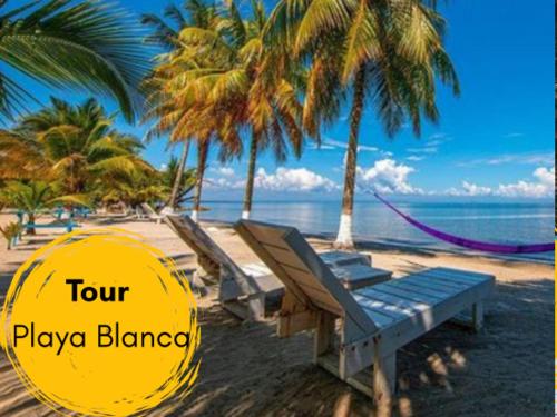 Loft En Puerto Barrios in ปวยร์โต บาริโอส