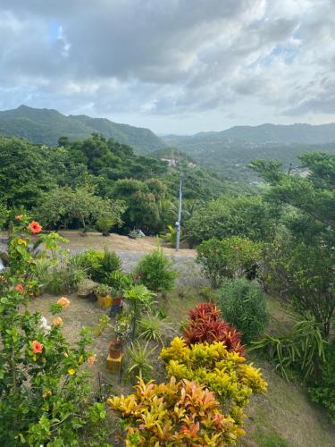 Le cocon de Cathy in Riviere-Pilote