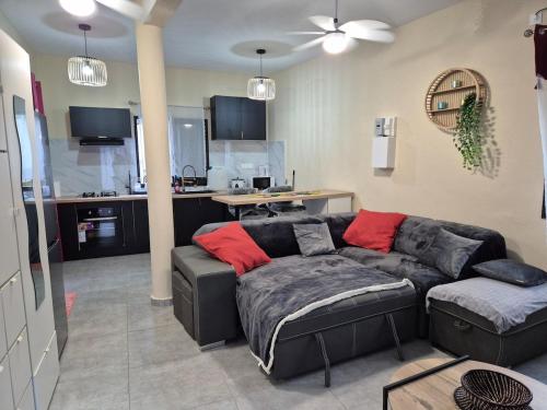 Studio muali in 치코니