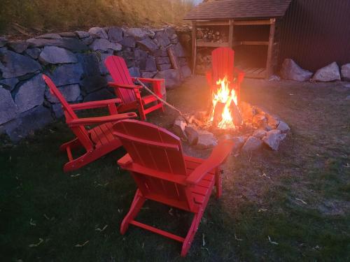 Létesítmények, Fresh Studio Apartment in Central Rossland in Rossland