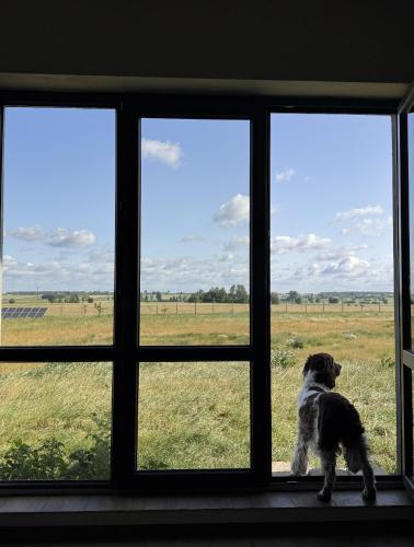 Agroturystyka Grodzisko in Ciborz