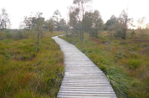 Omgeving, Le Bernister parking prive in Malmedy