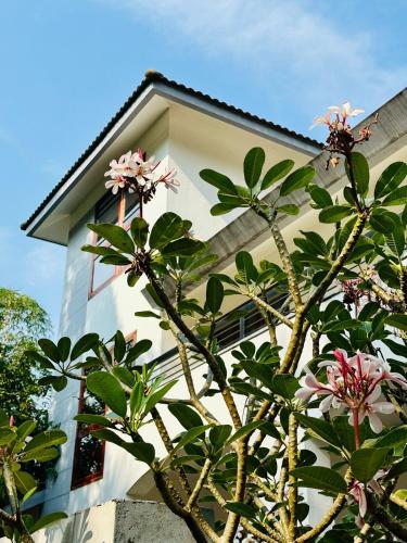 4Rest Villa