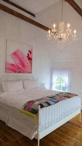 The Old Salt Box Co - Gertie's Place in Twillingate (NL)
