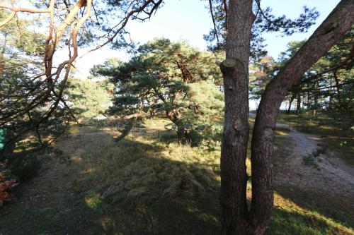 Strandhaus Dünenweg 17c mit Terrasse und Kamin - image 2