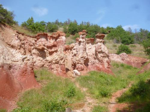 Au coeur des vignes in Boudes