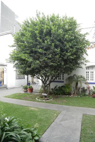 70873539 Hotel Casa Gonzalez