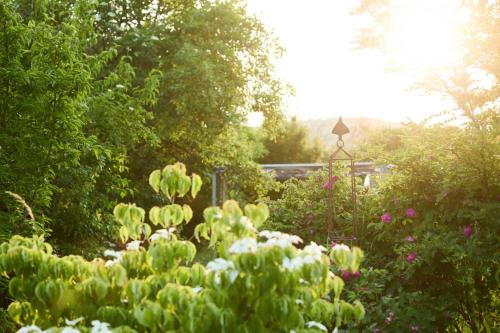 A környék, Biogarten-Ferienhaus Schiltern in Langenlois