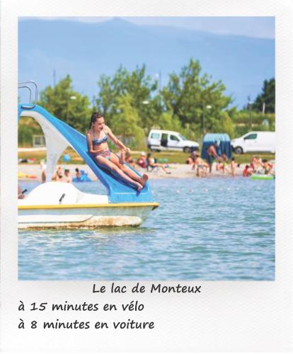Petit studio avec jardin à 10 mn d'Avignon (Petit studio avec jardin a 10 mn d'Avignon) in Entraigues-sur-la-Sorgue
