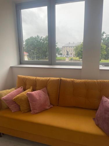 Apartament nad Żabką (Apartament nad Zabka) in Zamosc Városközpont