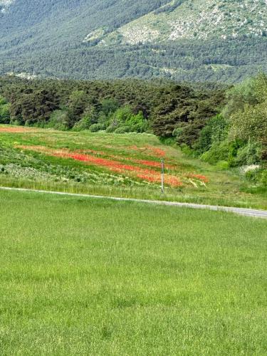 Logis Hotel de l'Artuby