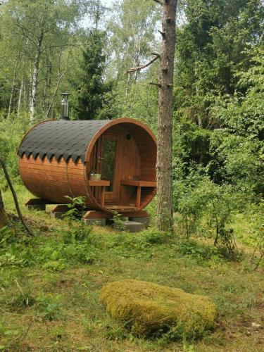 Apkārtne, Ränduri Pesa Paiveli koplis (Randuri Pesa Paiveli koplis) in Abula