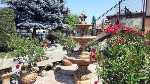 Sarokhaz Panzio - image 10