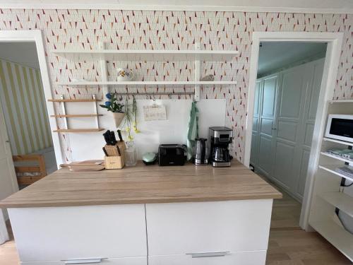 Iekārtas, Charmig Villa bredvid sjön Örlen (Charmig Villa bredvid sjon Orlen) in Orlebadet