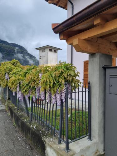 LoSteLaDa sul lago di Como