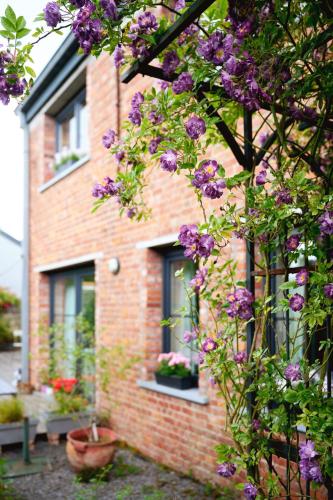 B&B Destiny chambre d'hôte Middelburg