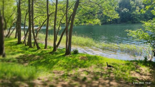 景觀, Piotiwo D3 in 卡利舒波莫爾斯基