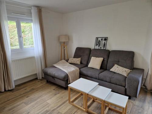 Krogs/atpūtas telpa, Appartement rénové Au Rain Grébatte avec terrasse (Appartement renove Au Rain Grebatte avec terrasse) in La Croix-aux-Mines