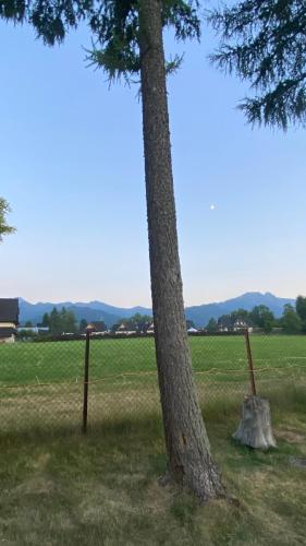 namiot dwu osobowy w namiocie tylko materac i dwie poduszki--tent for 2 people, only a mattress in t in กูตือ