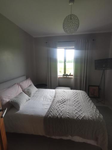 Roscommon House Small Double Room in Roscommon