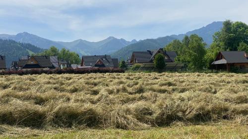 namiot dwu osobowy w namiocie tylko materac i dwie poduszki--tent for 2 people, only a mattress in t in กูตือ