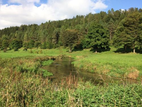 Apkārtne, Ferienwohnungen zur POST 1 in Breitenbrunn (Bavaria)