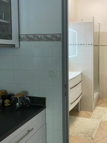 Villa Serenice - F2 au calme, climatisé, WIFI et parking gratuit, Nice (photo 10)