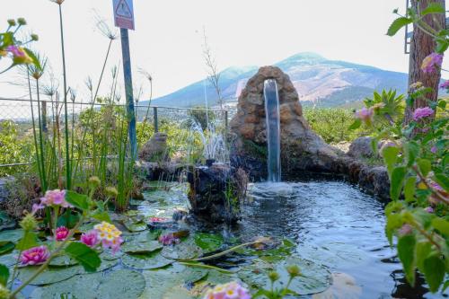 Tu Villa Rural Cortijo Los Cantos 7 Dormitorios Piscina privada