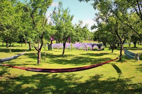 . Casa rurală cu livadă LavAndra