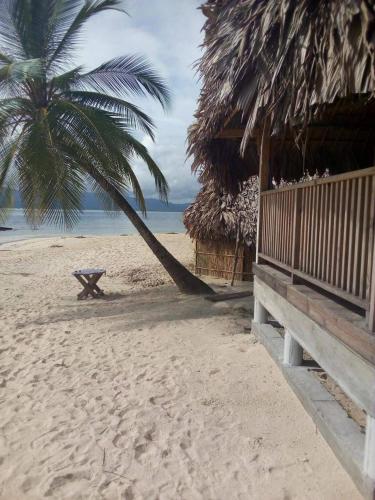Islas de San blas cabaña privada en Tubasenika (Islas de San blas cabana privada en Tubasenika) in El Porvenir