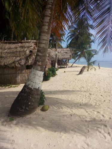 Islas de San blas cabaña privada en Tubasenika (Islas de San blas cabana privada en Tubasenika) in El Porvenir