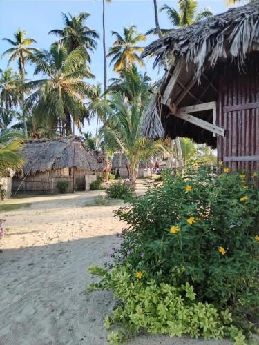 Islas de San blas cabaña privada en Tubasenika (Islas de San blas cabana privada en Tubasenika) in El Porvenir