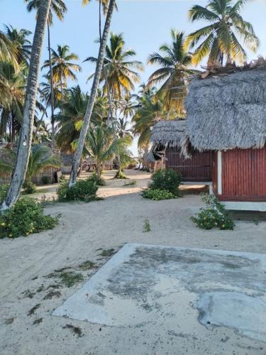 Islas de San blas cabaña privada en Tubasenika (Islas de San blas cabana privada en Tubasenika) in El Porvenir