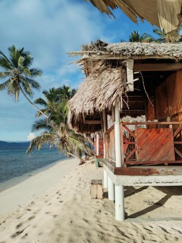 Заобикаляща среда, Islas de San blas cabaña privada en Tubasenika (Islas de San blas cabana privada en Tubasenika) in El Porvenir