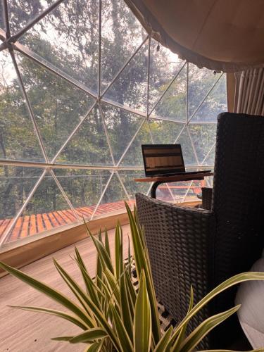 Epífita, Bosque Nuboso Glamping Monteverde (Epifita, Bosque Nuboso Glamping Monteverde) in 蒙特韋德