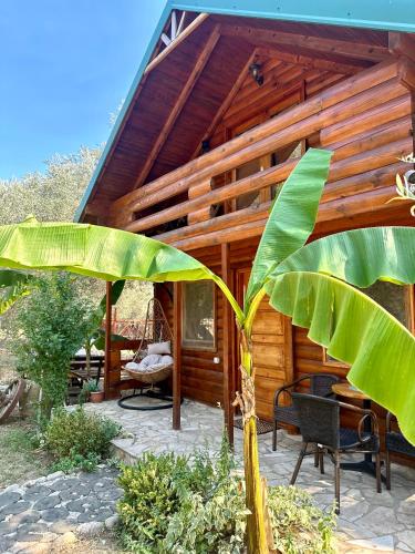 Green Heaven Cottage